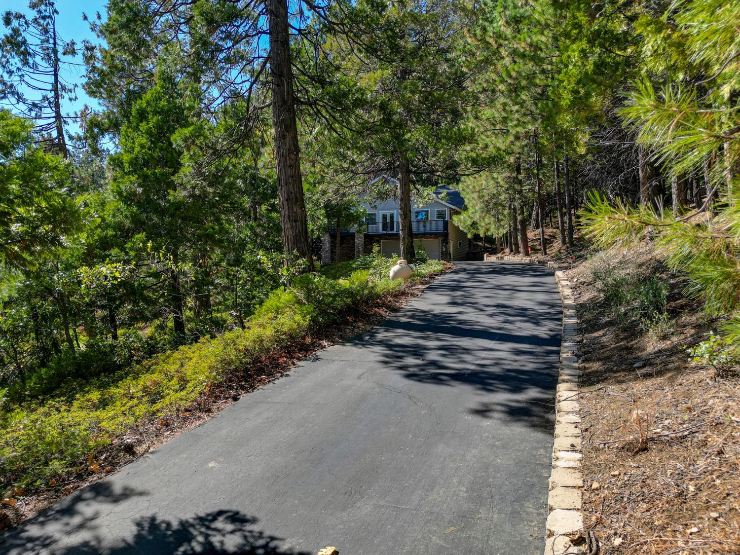 923 Bear Run Way