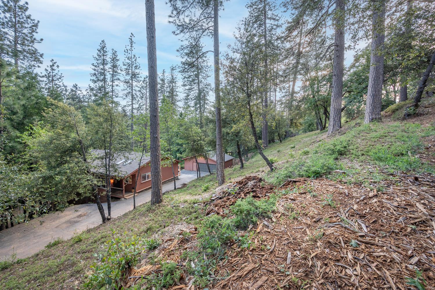 3061 E Highway 4