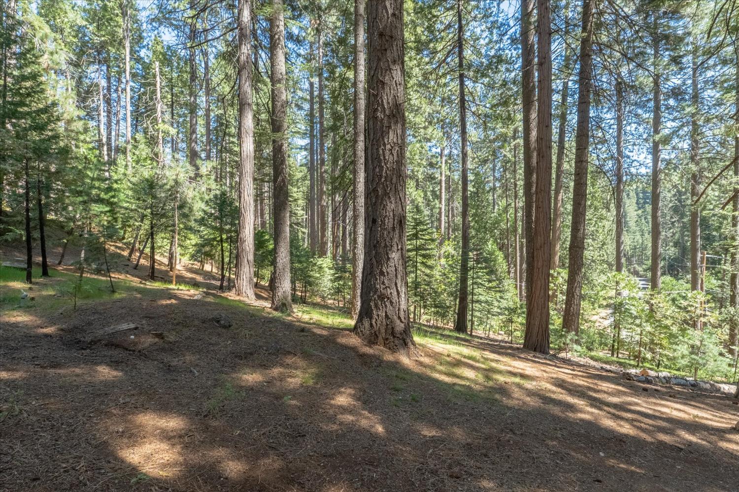 1539 Pebble Beach Way