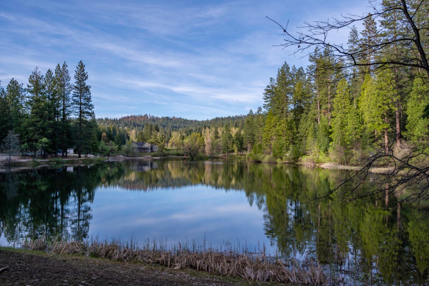 2041 Baywood View