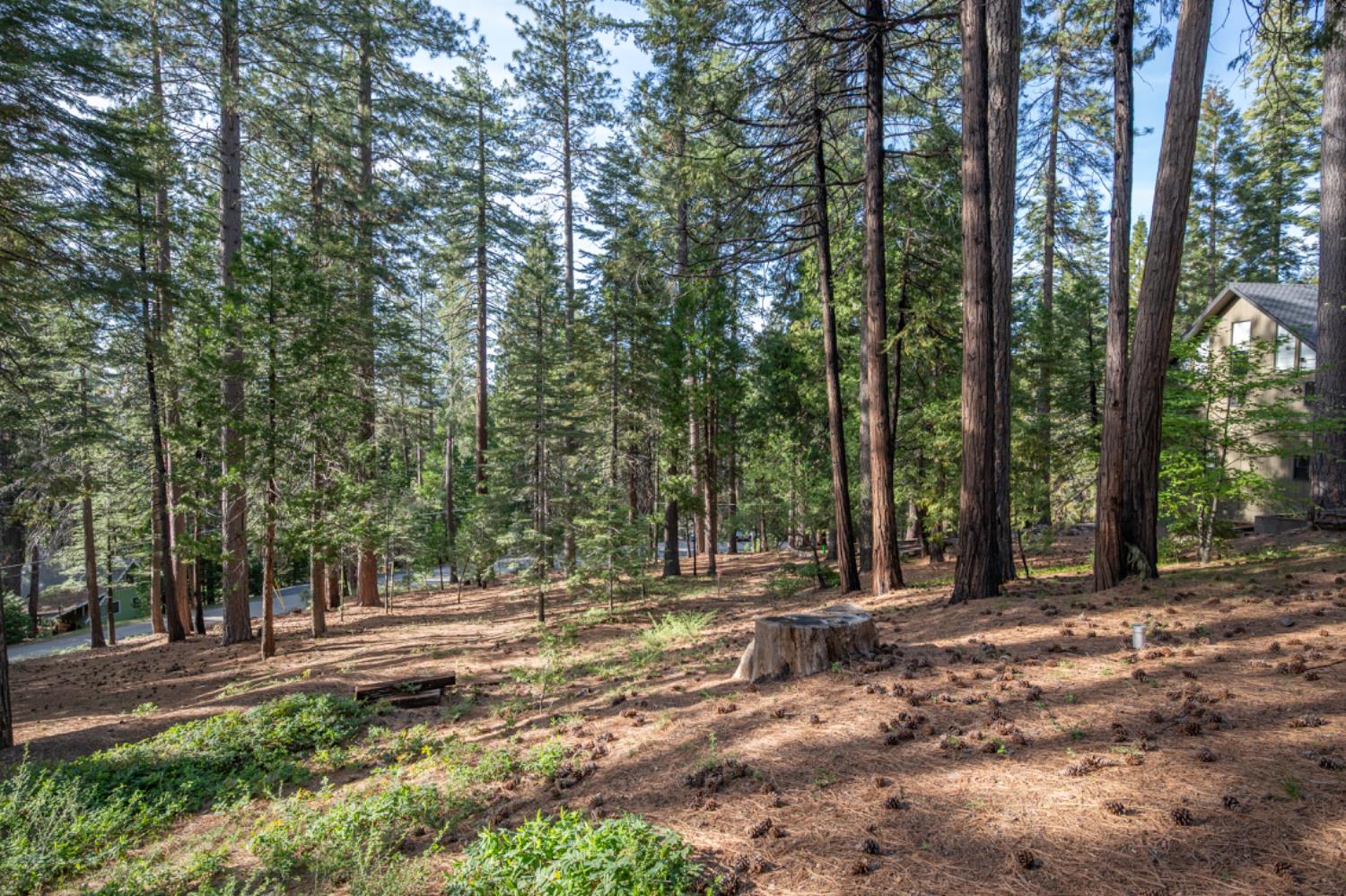 2041 Baywood View