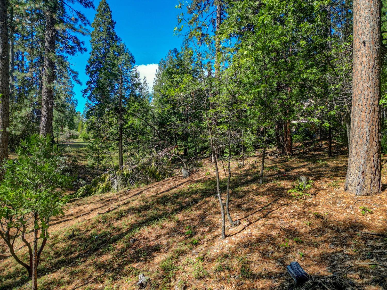 2548 Aspen Way