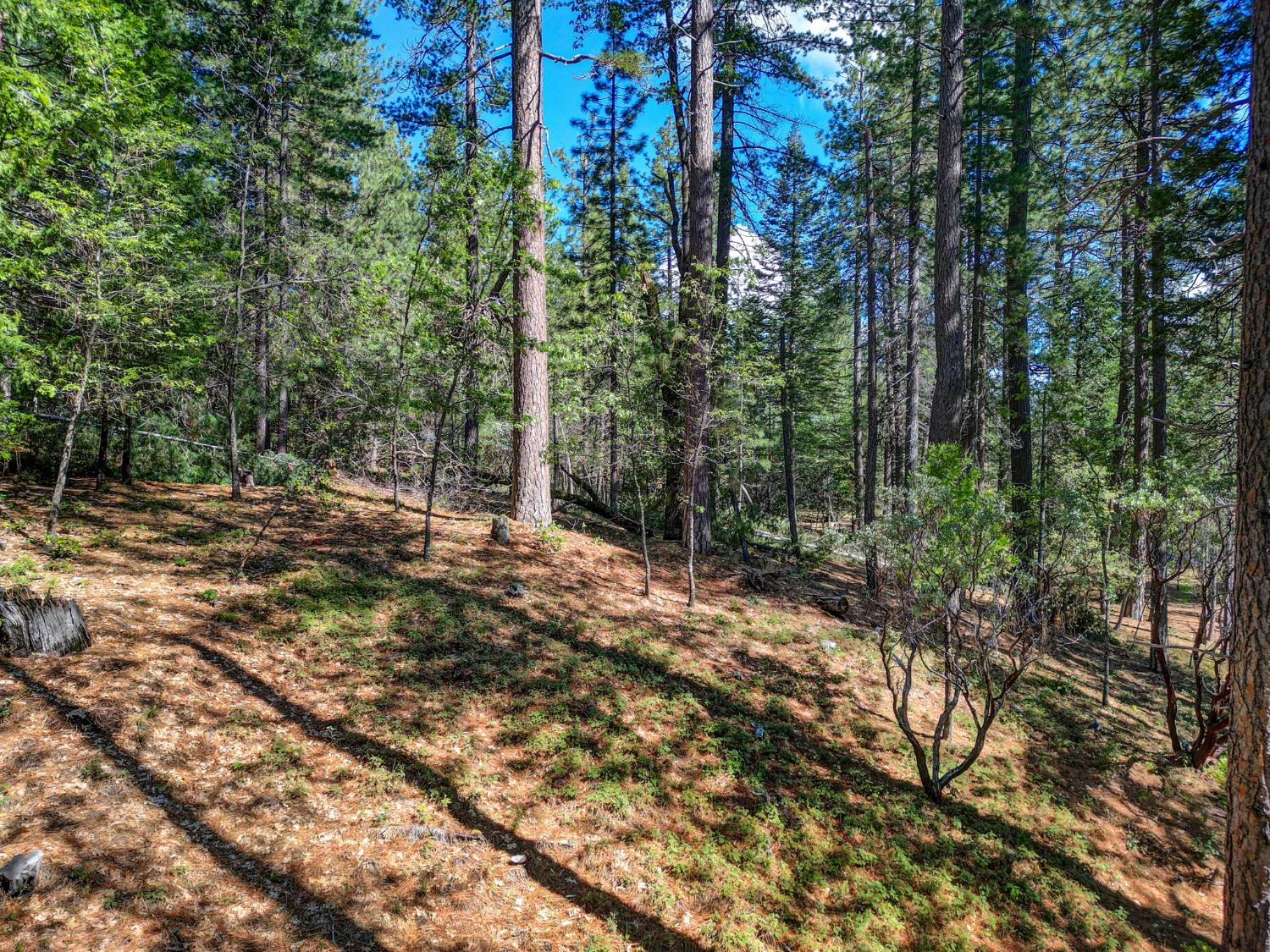 2548 Aspen Way