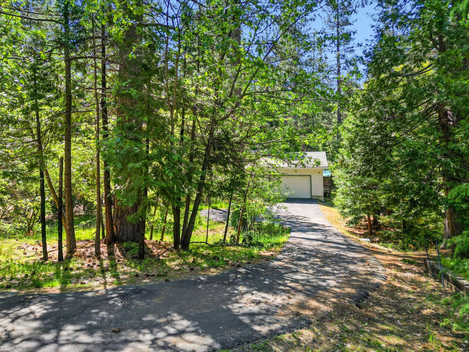 2641 Pine Drive