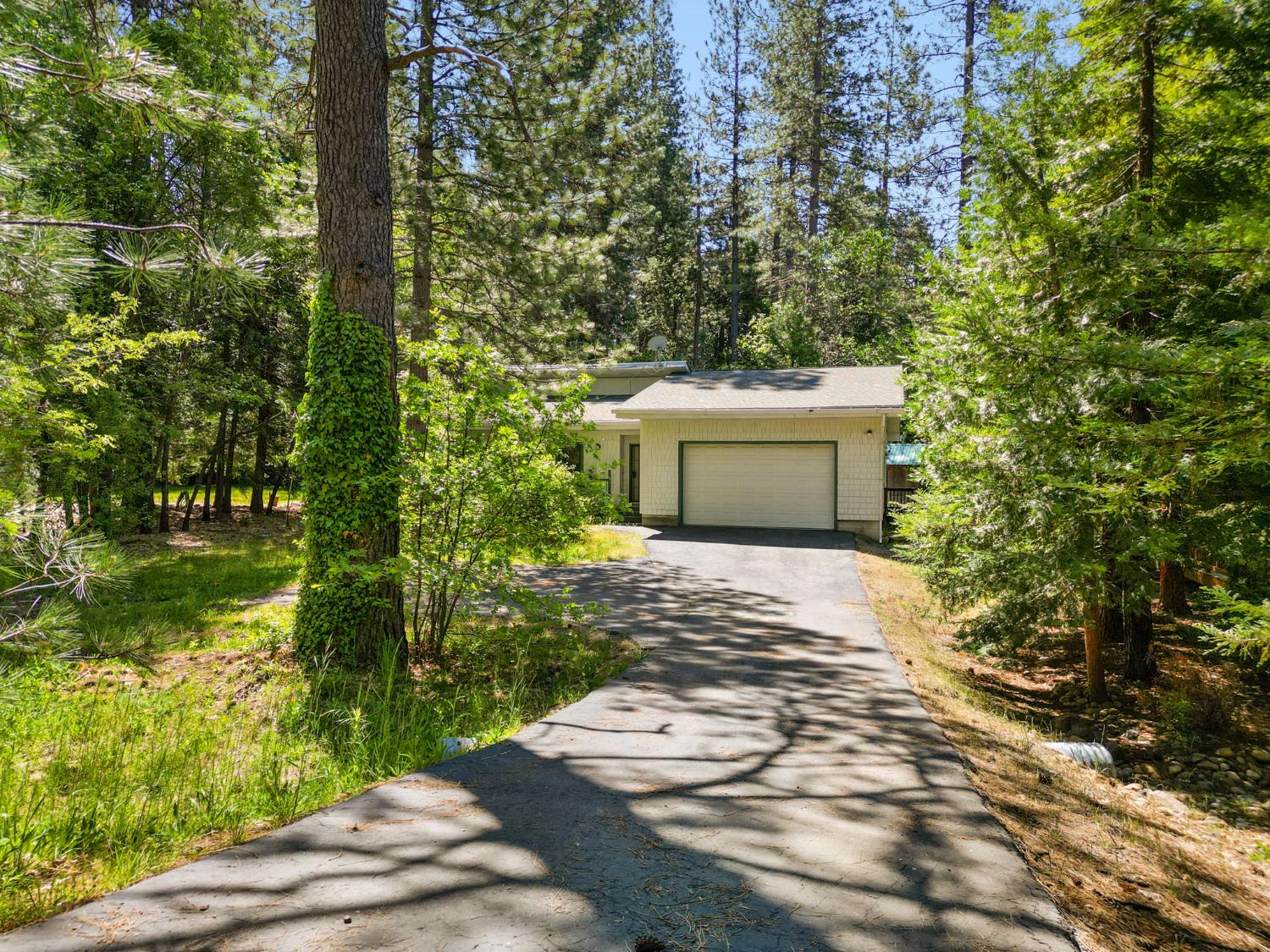 2641 Pine Drive