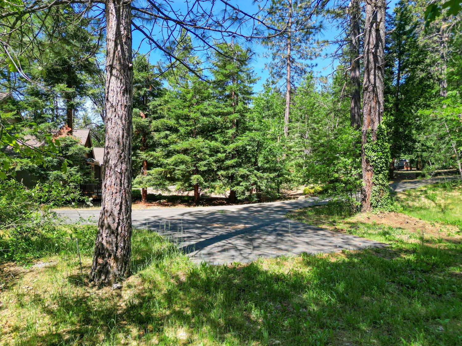 2641 Pine Drive
