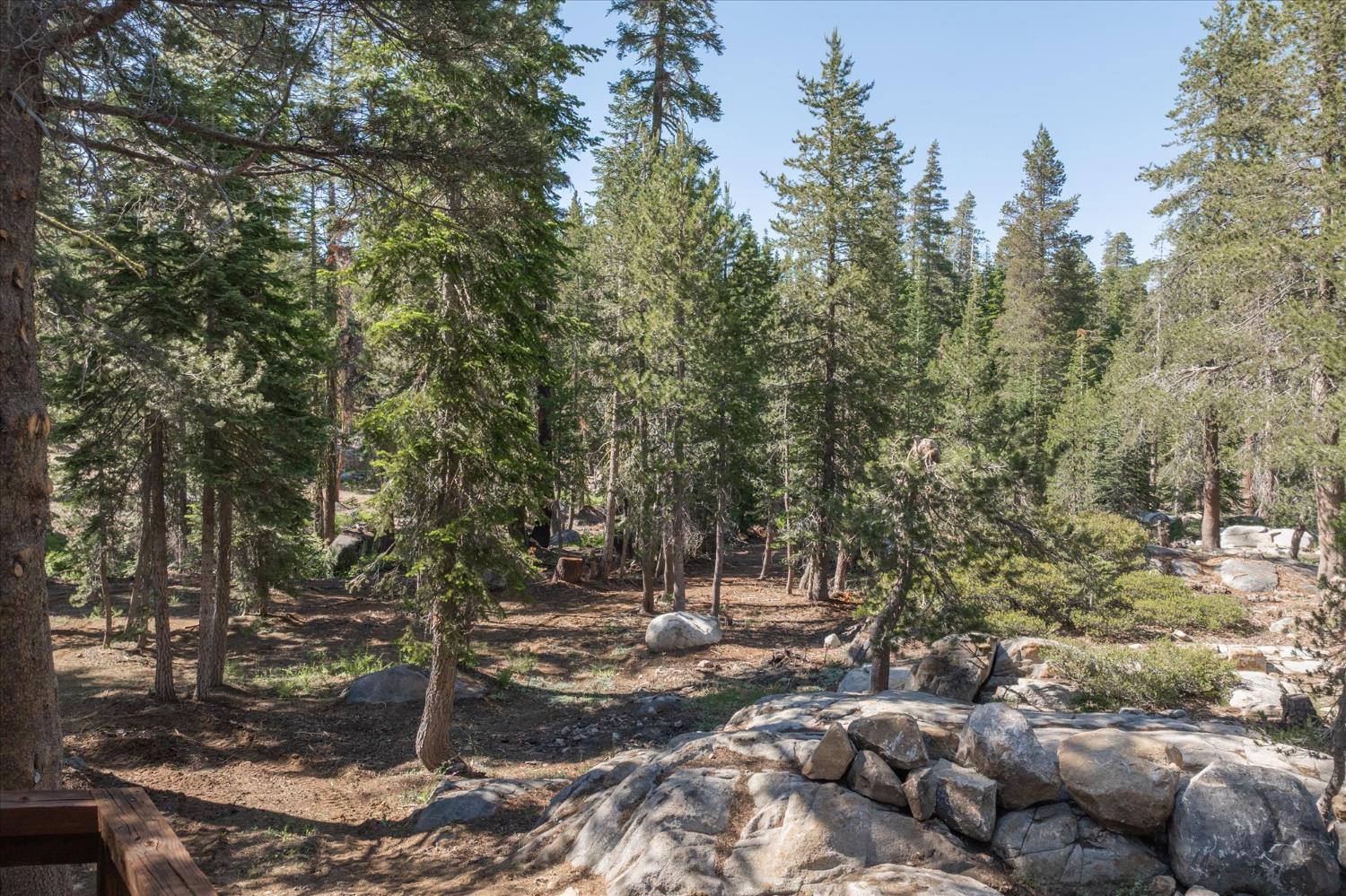 332 Salt Springs Trail