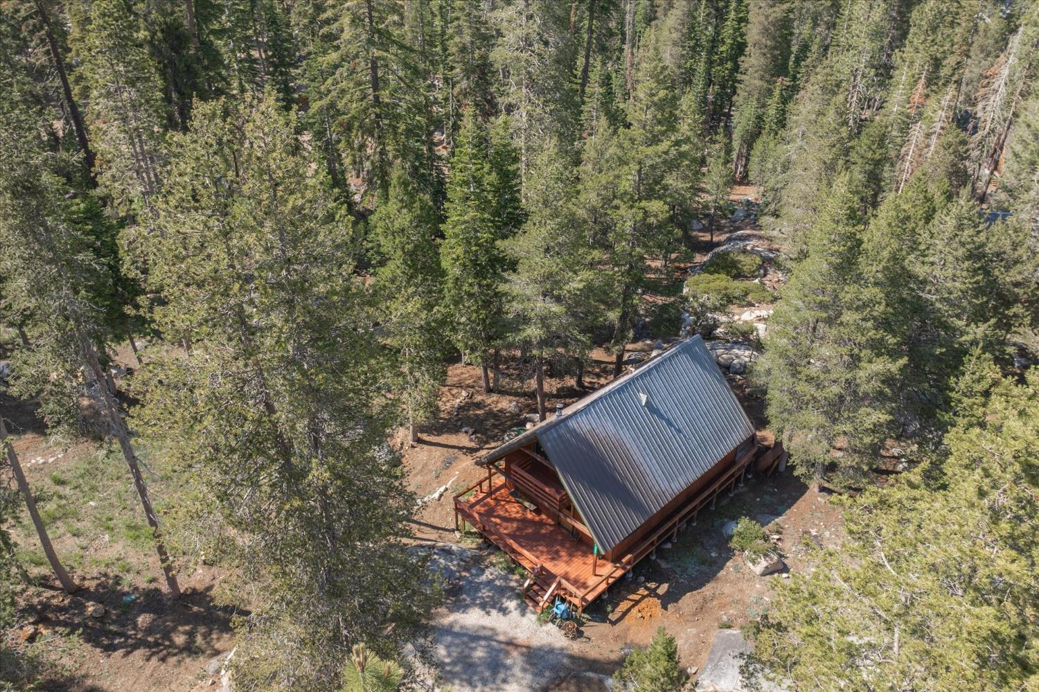 332 Salt Springs Trail
