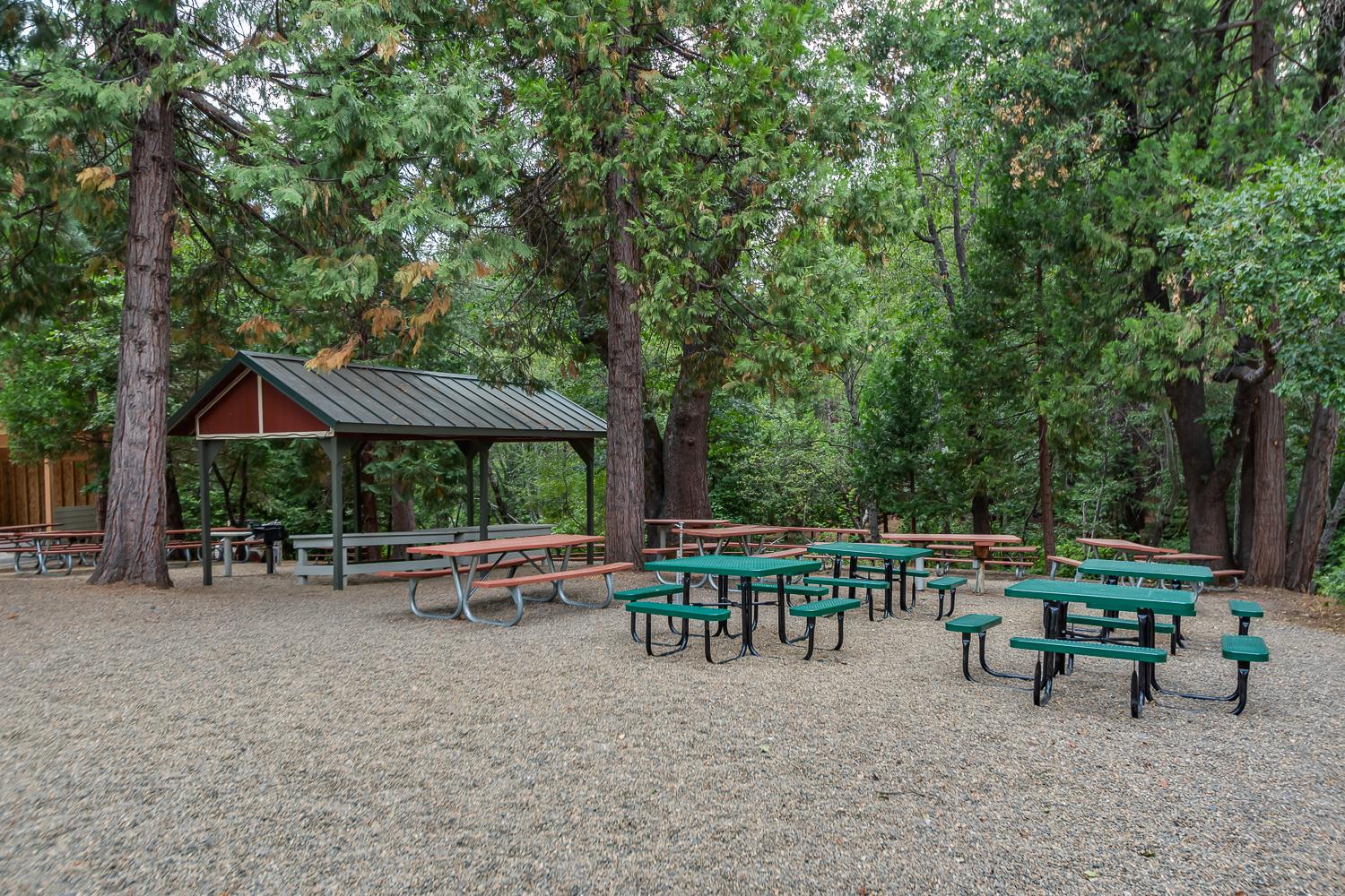 1807 Coniferous Drive