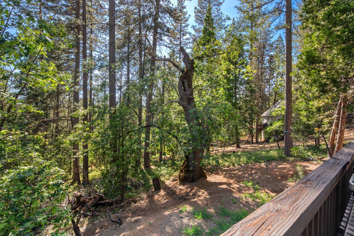 1802 Tamarack Drive