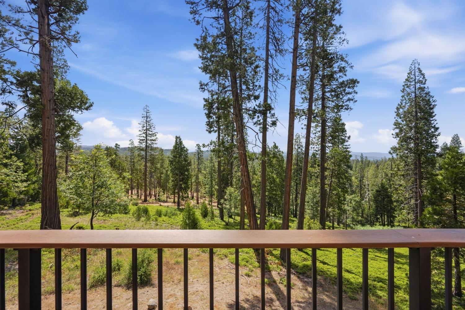 3076 Forest Lane