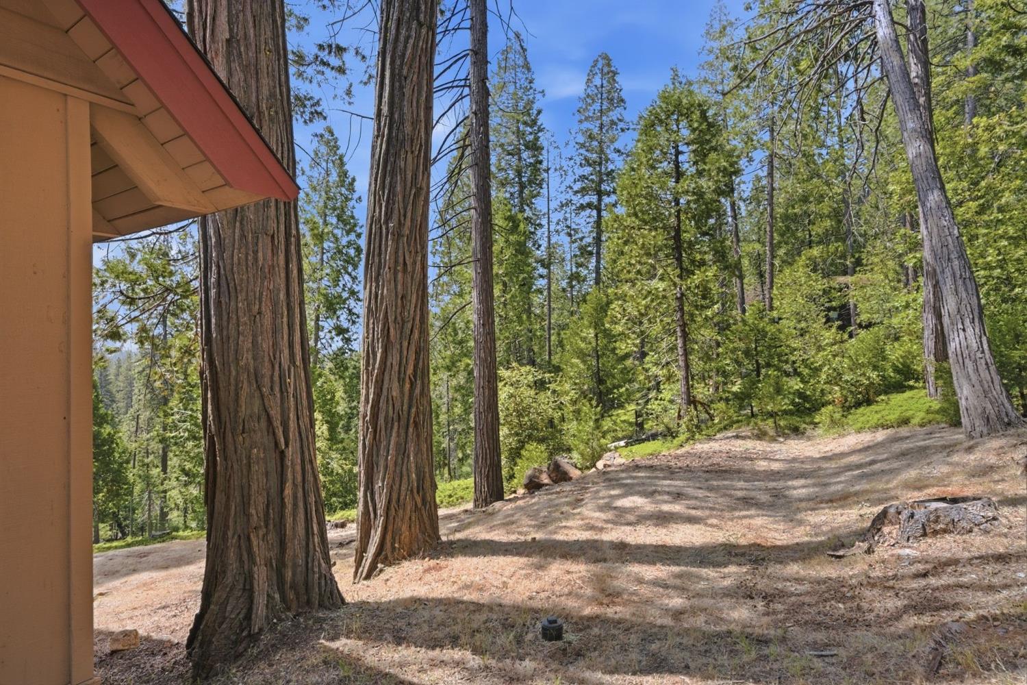 3076 Forest Lane