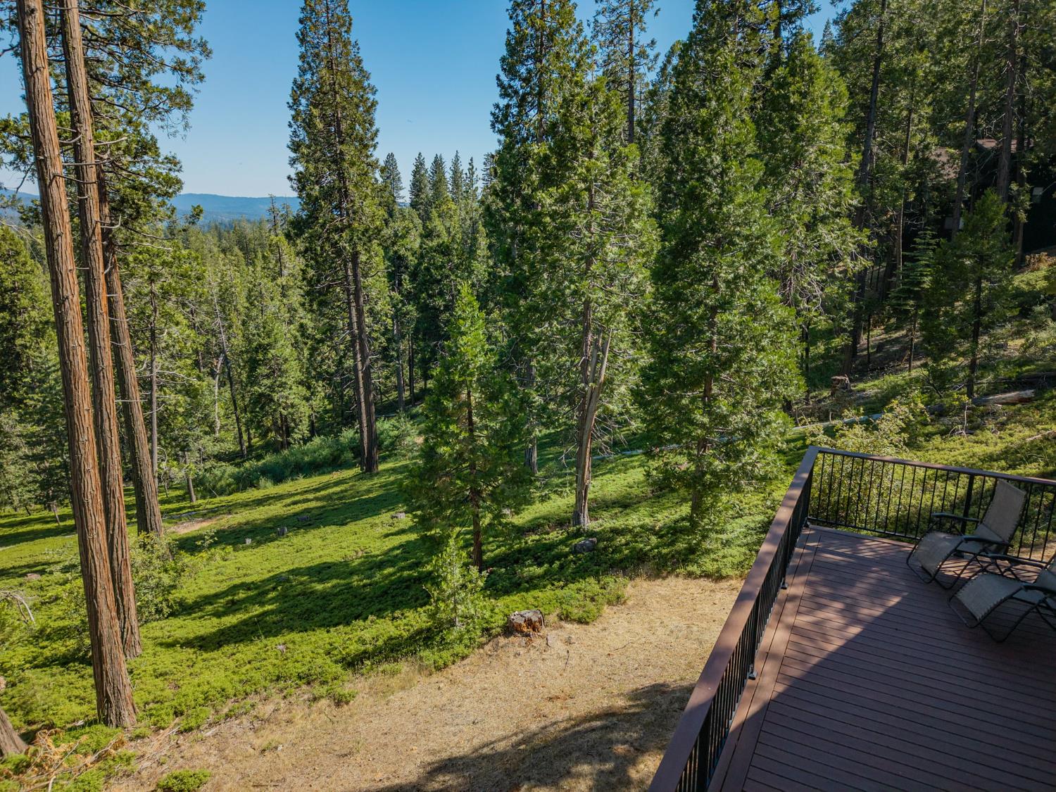3076 Forest Lane