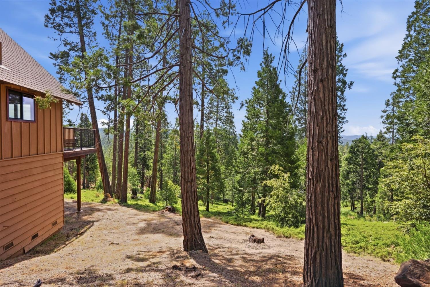 3076 Forest Lane