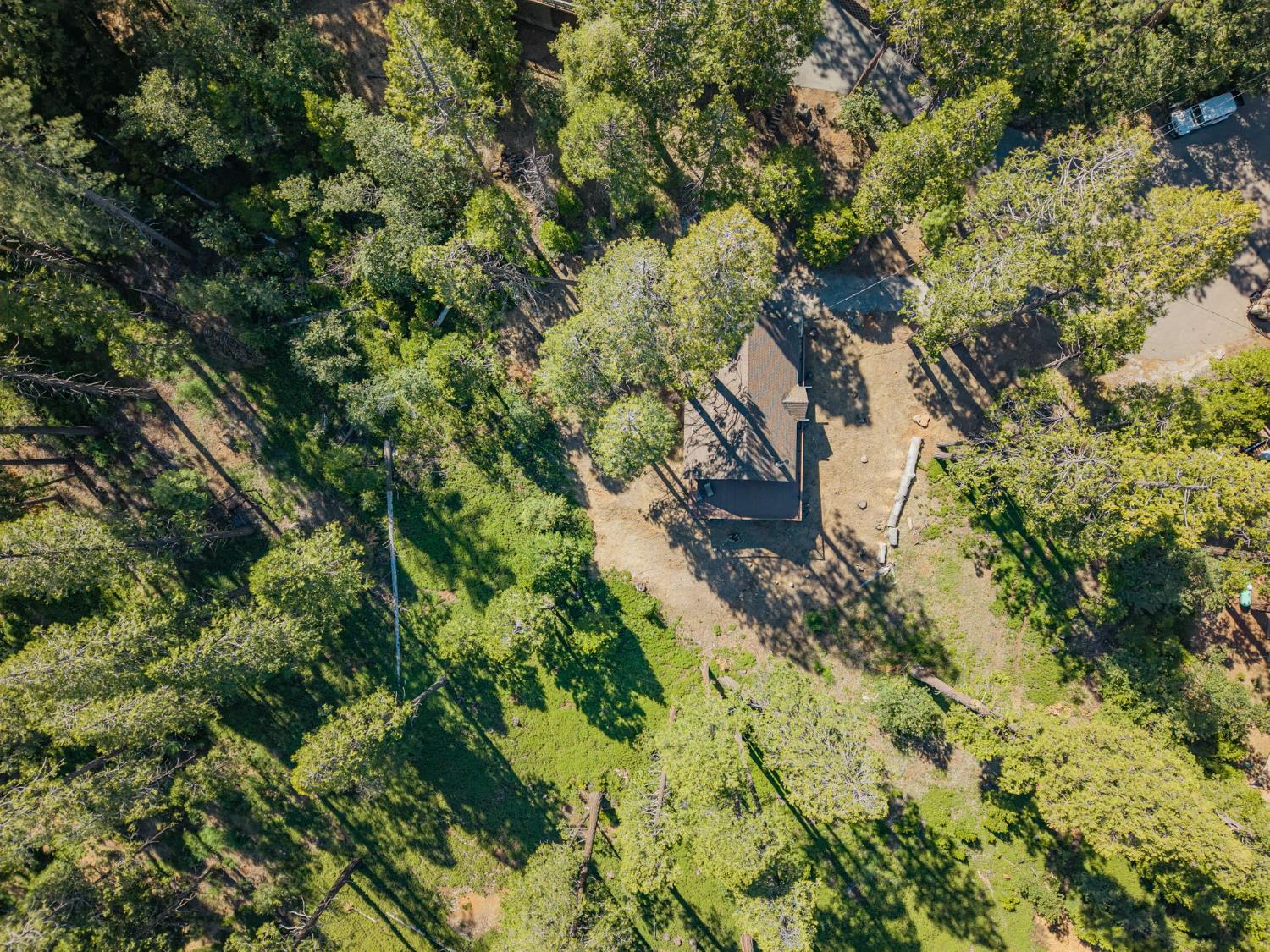 3076 Forest Lane