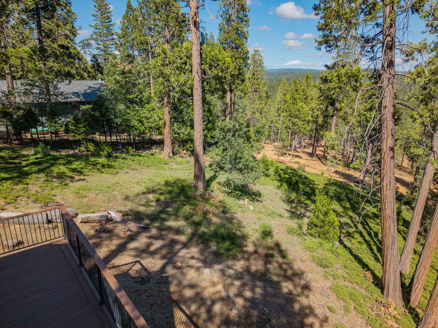 3076 Forest Lane