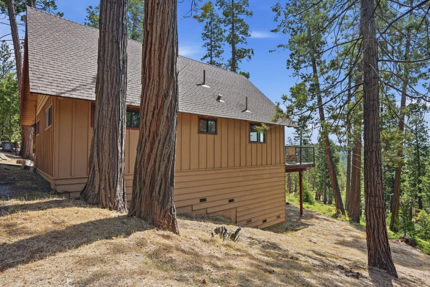 3076 Forest Lane