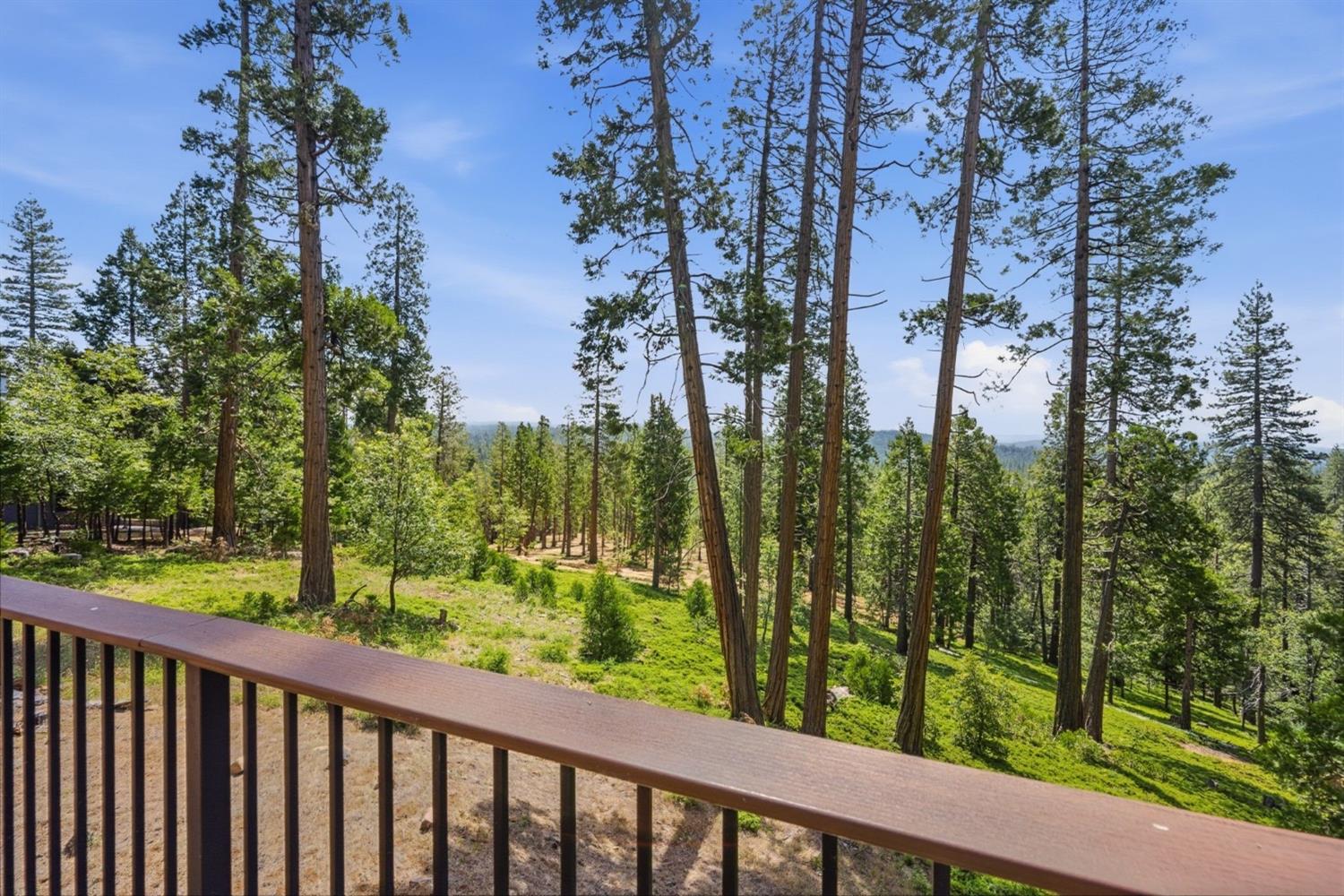 3076 Forest Lane