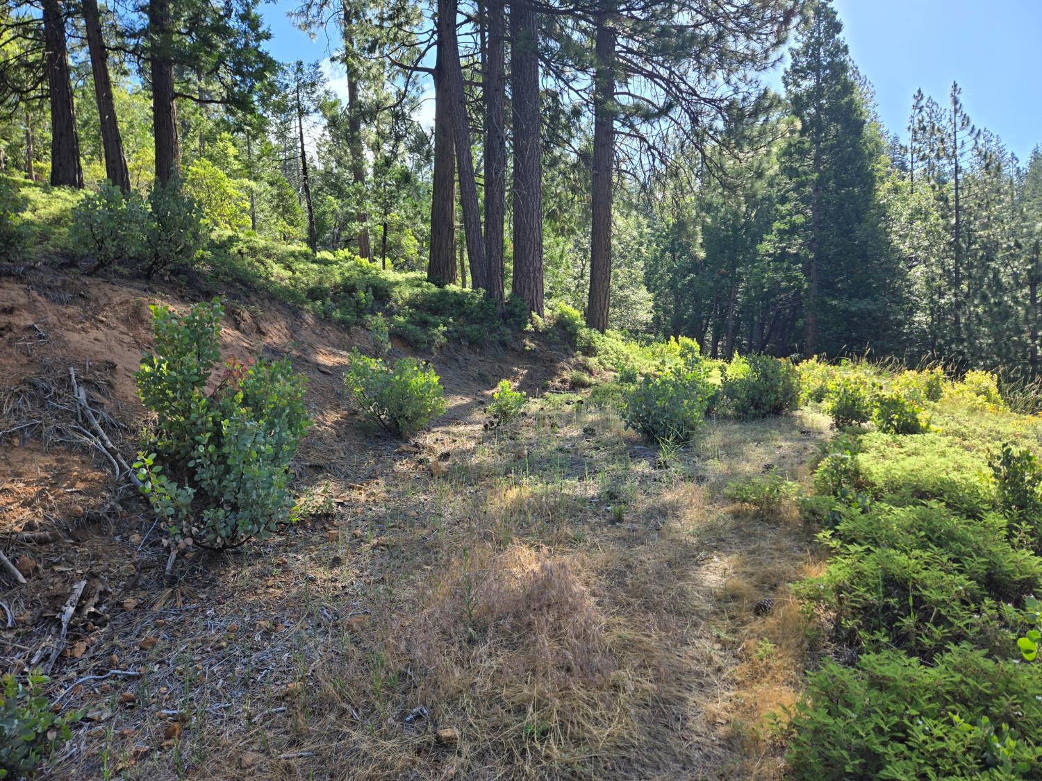 2964 Murphys Drive