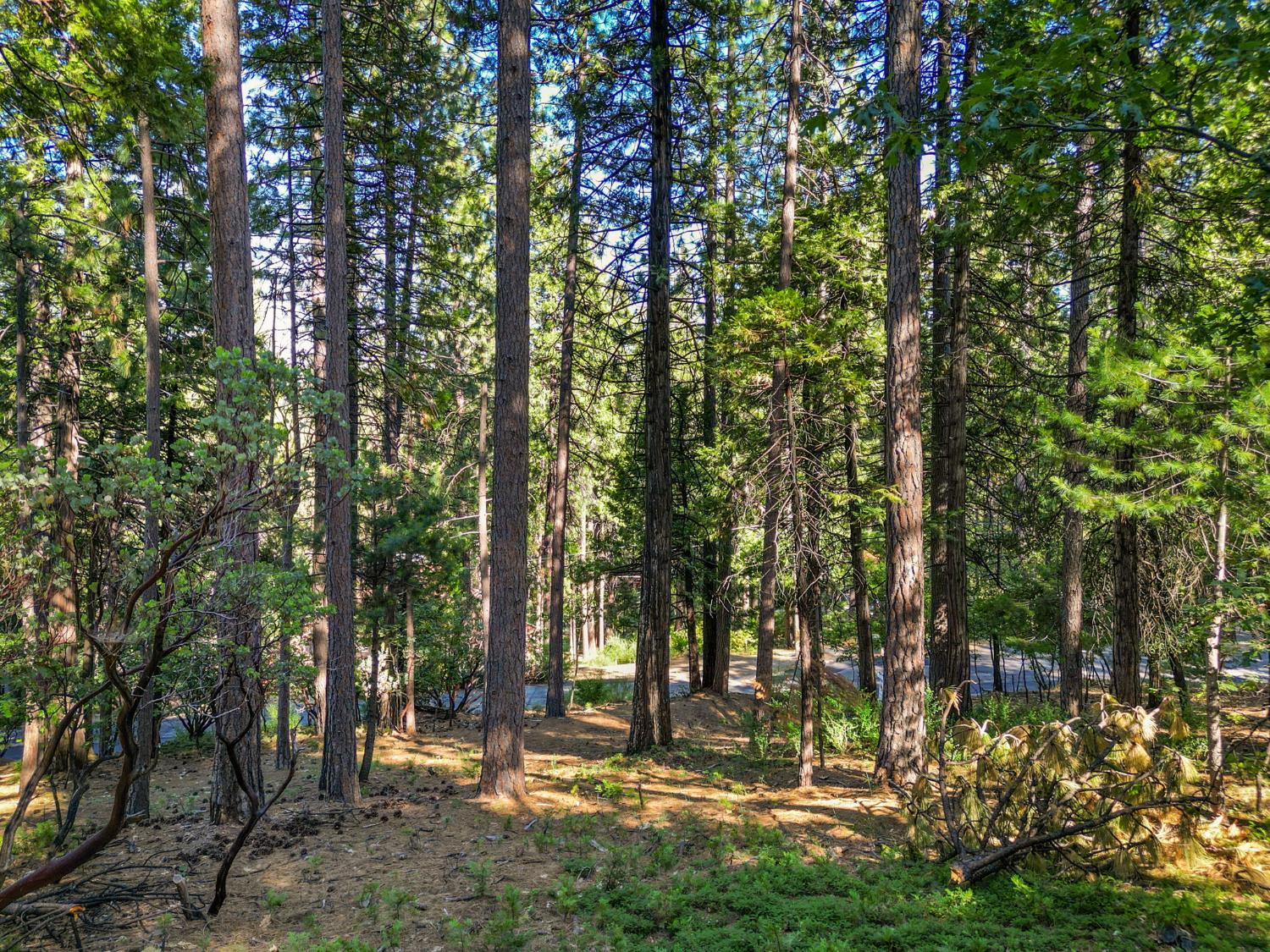 2946 Venado Drive