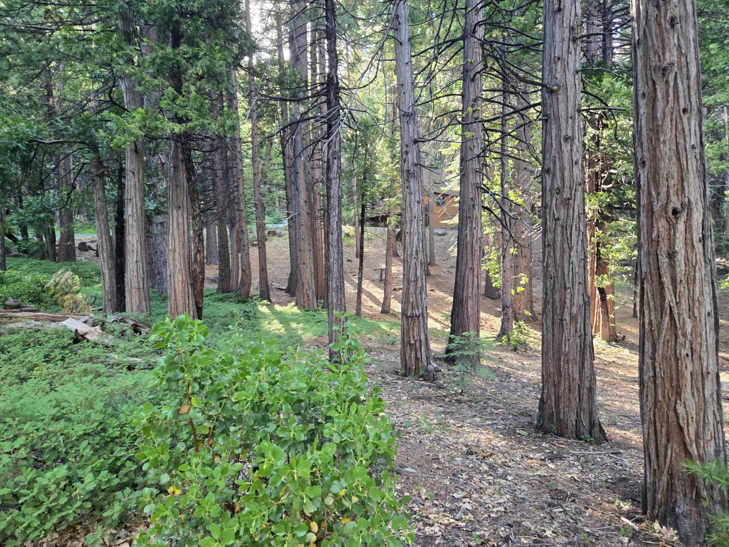 3850 Apache Road