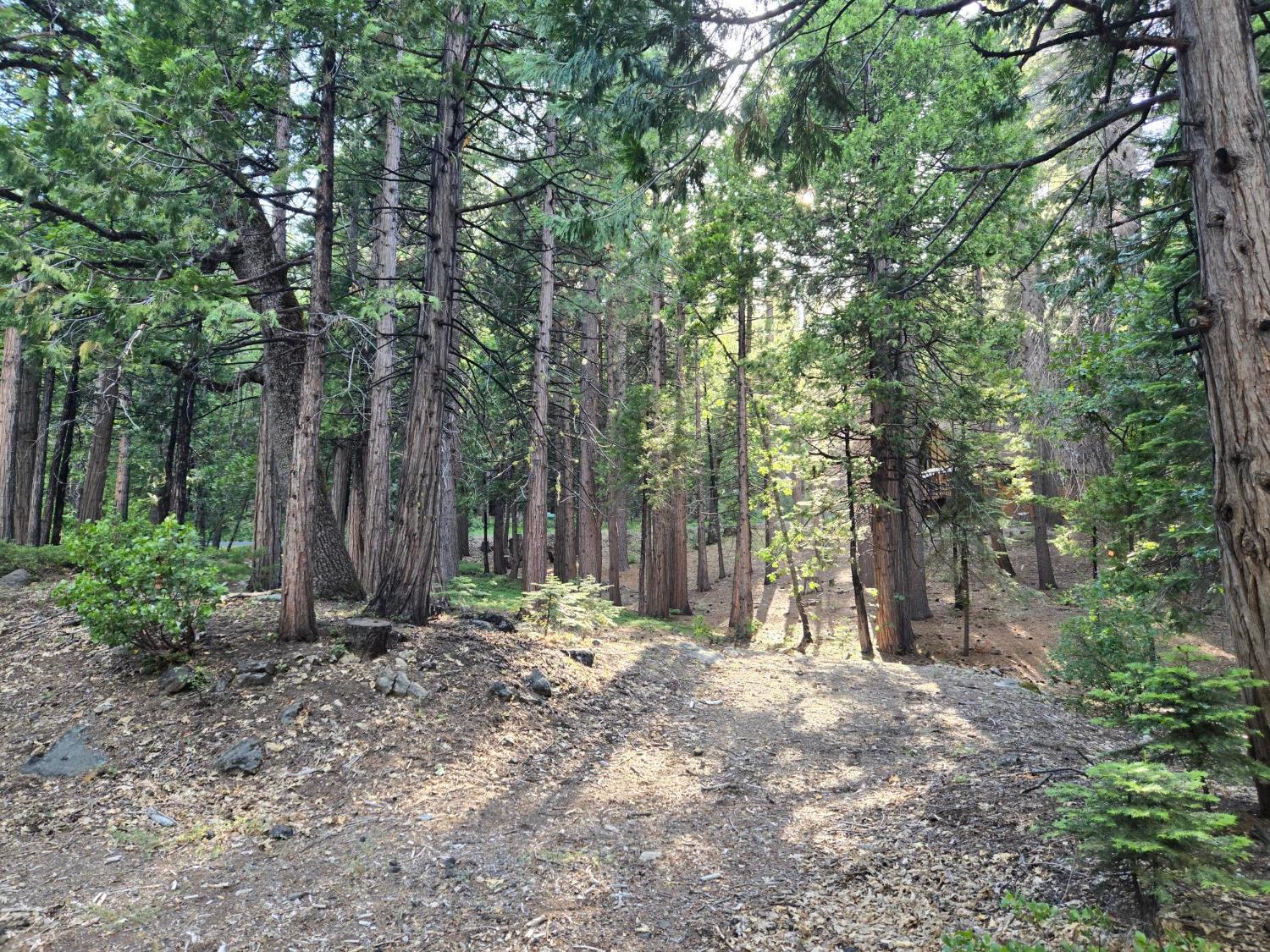 3850 Apache Road