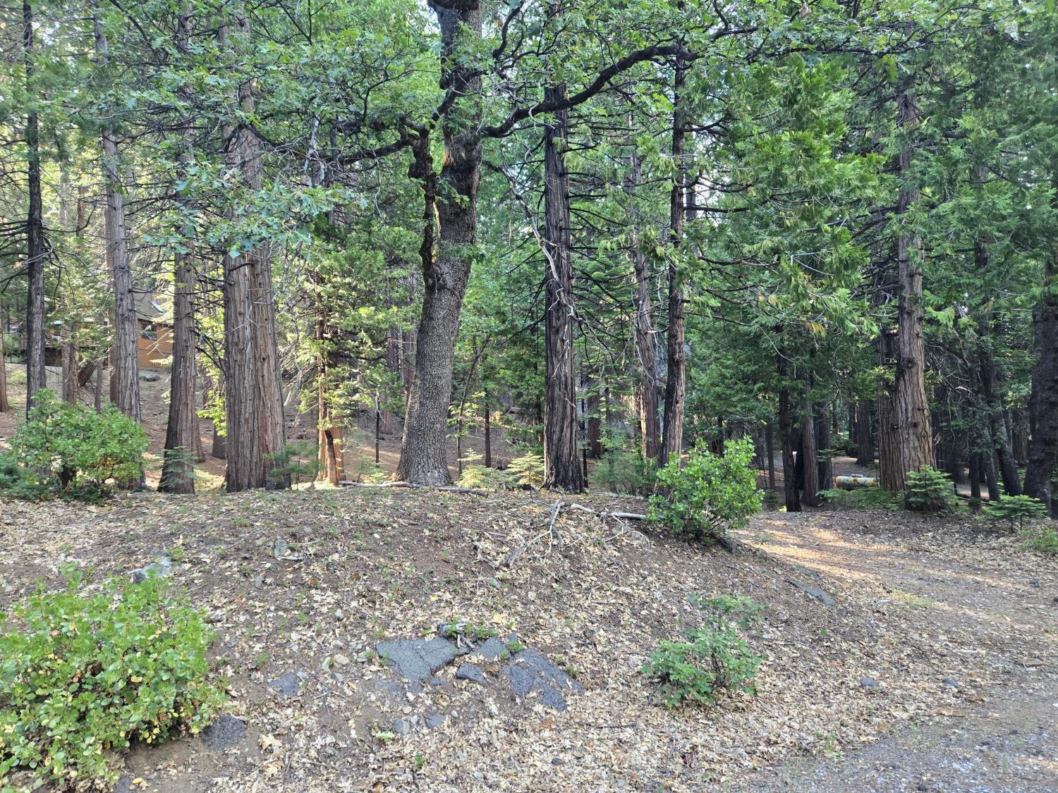 3850 Apache Road