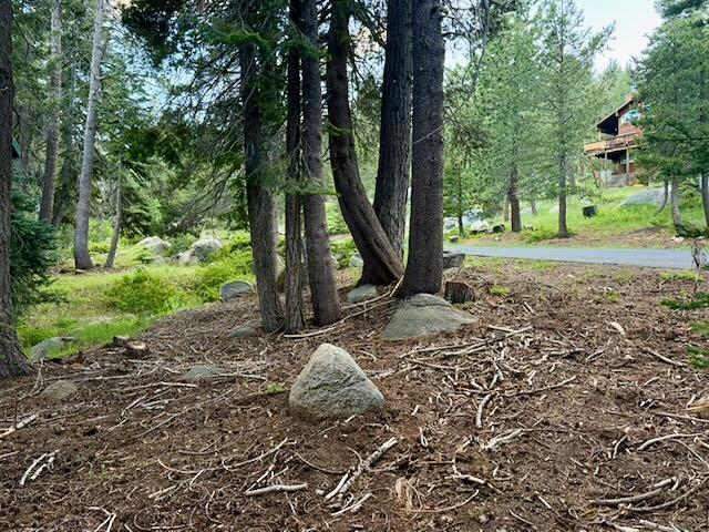 0 Quaking Aspen Road