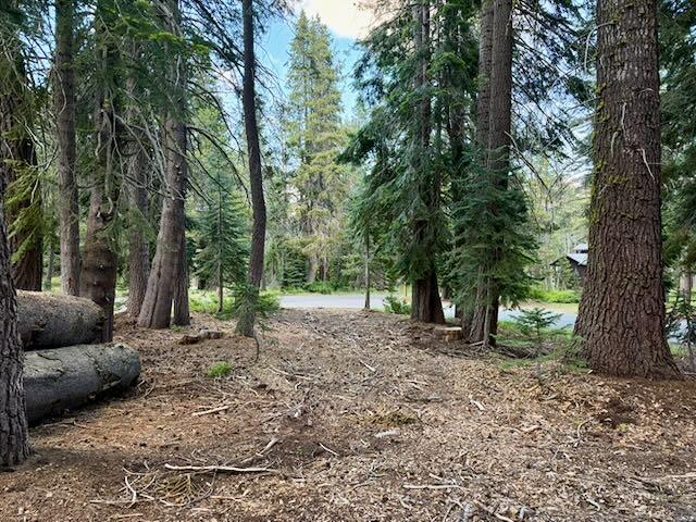 0 Quaking Aspen Road