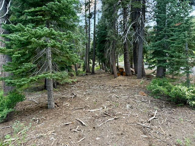0 Quaking Aspen Road