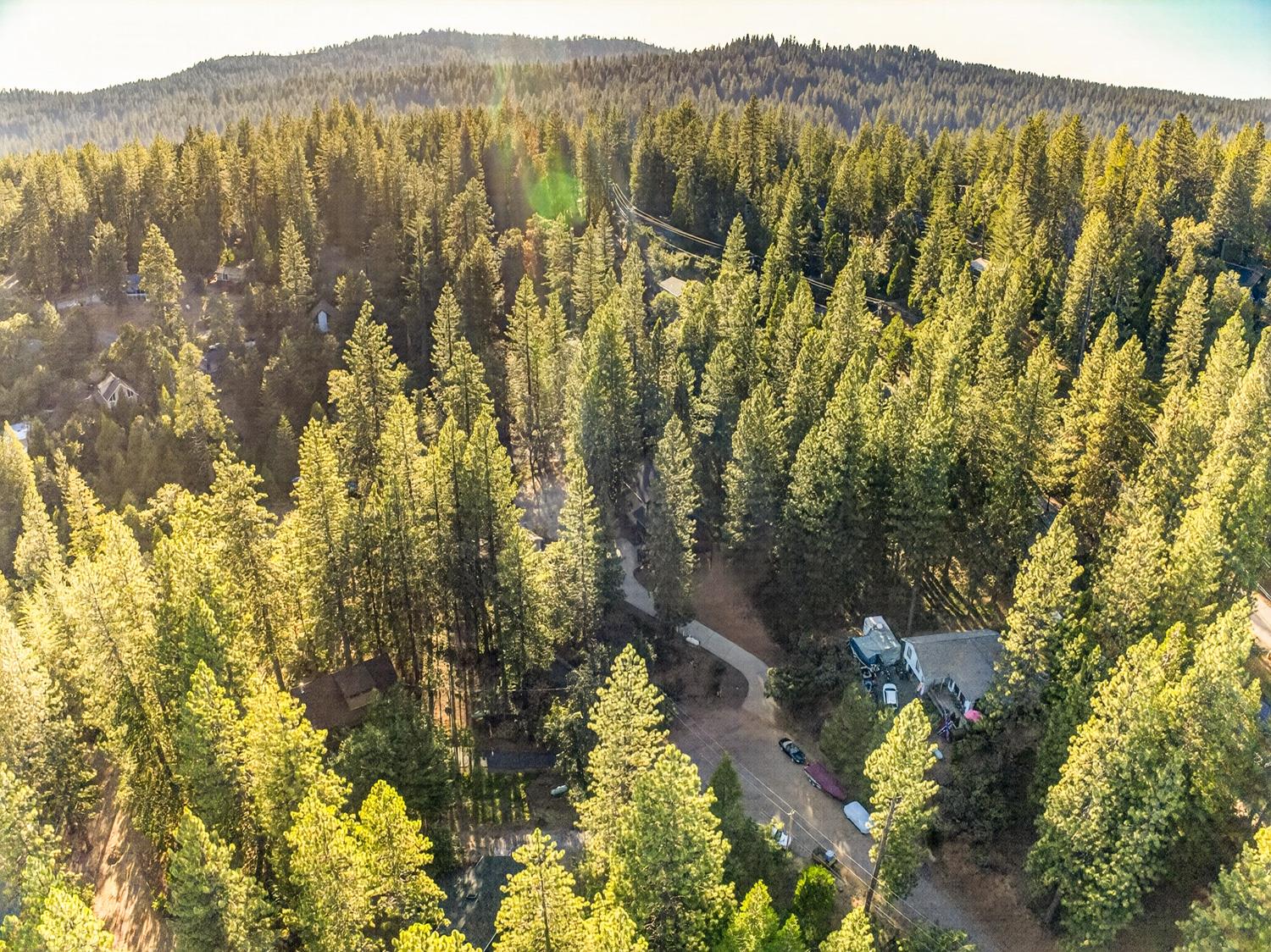 2259 Pamela Court