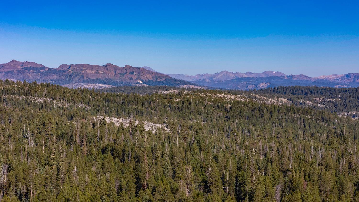 118 Silver Tip Road