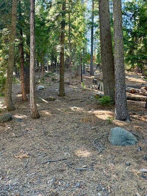 1534 Sierra Parkway