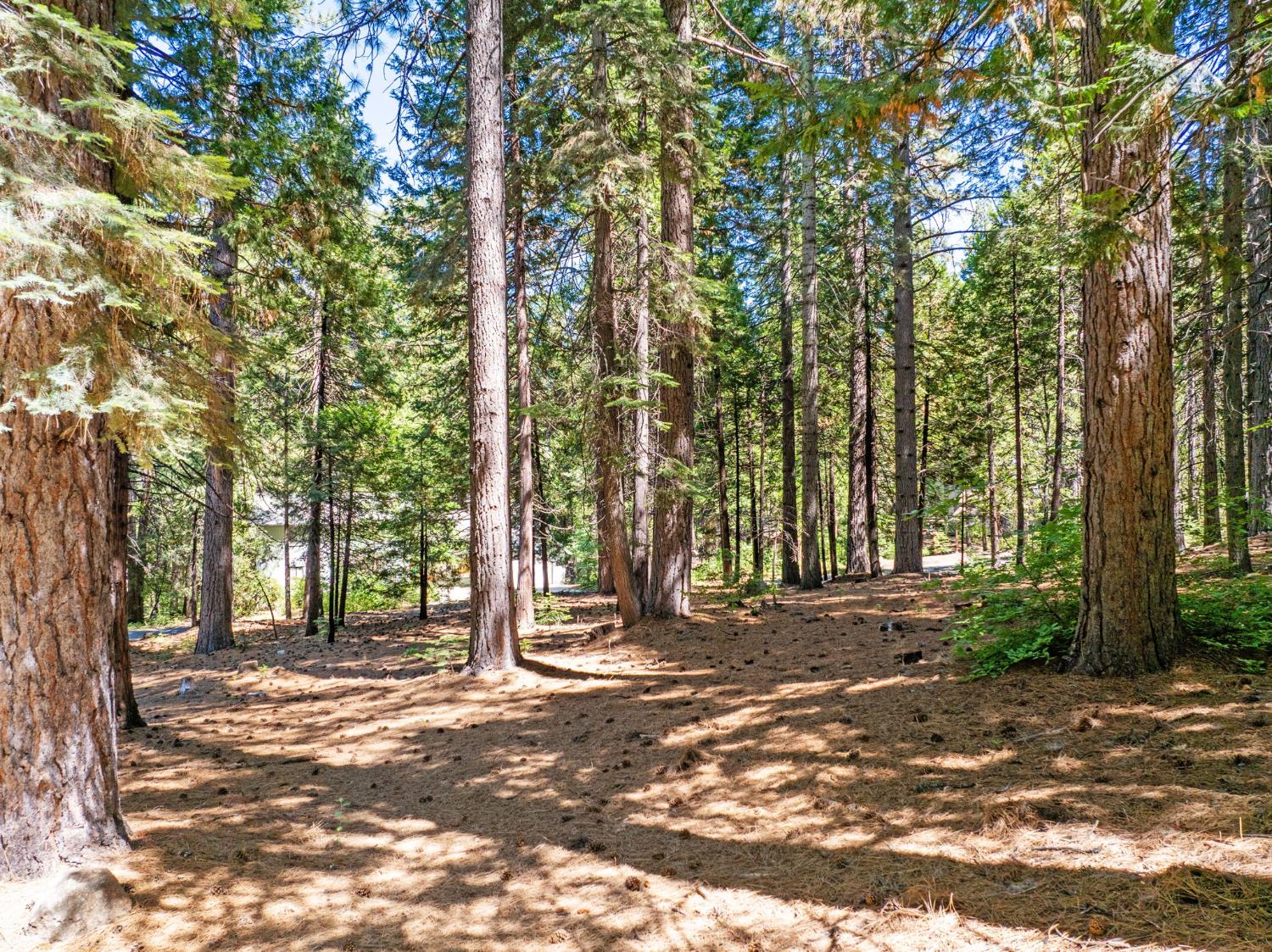 2430 Navajo Drive