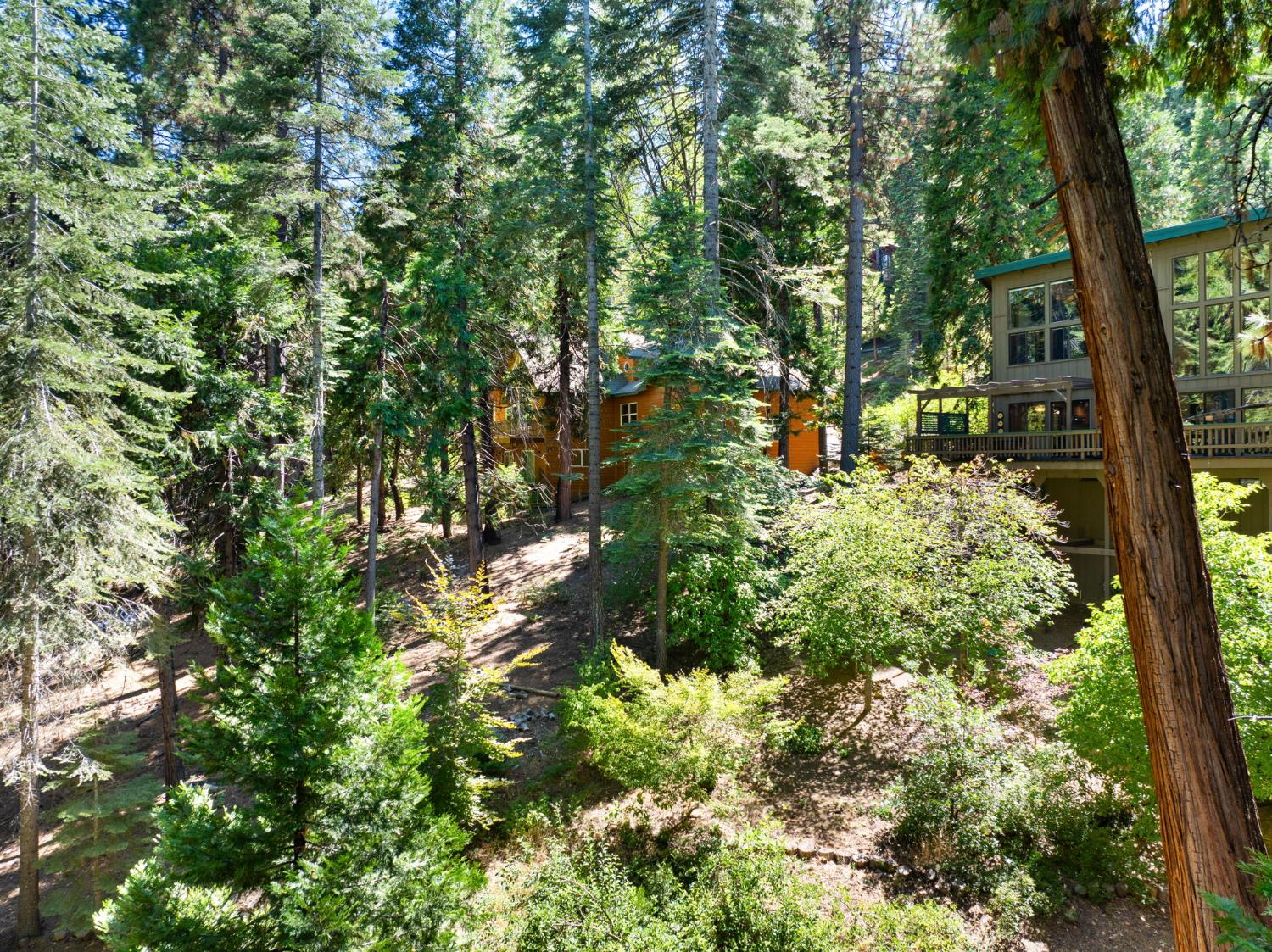 2430 Navajo Drive