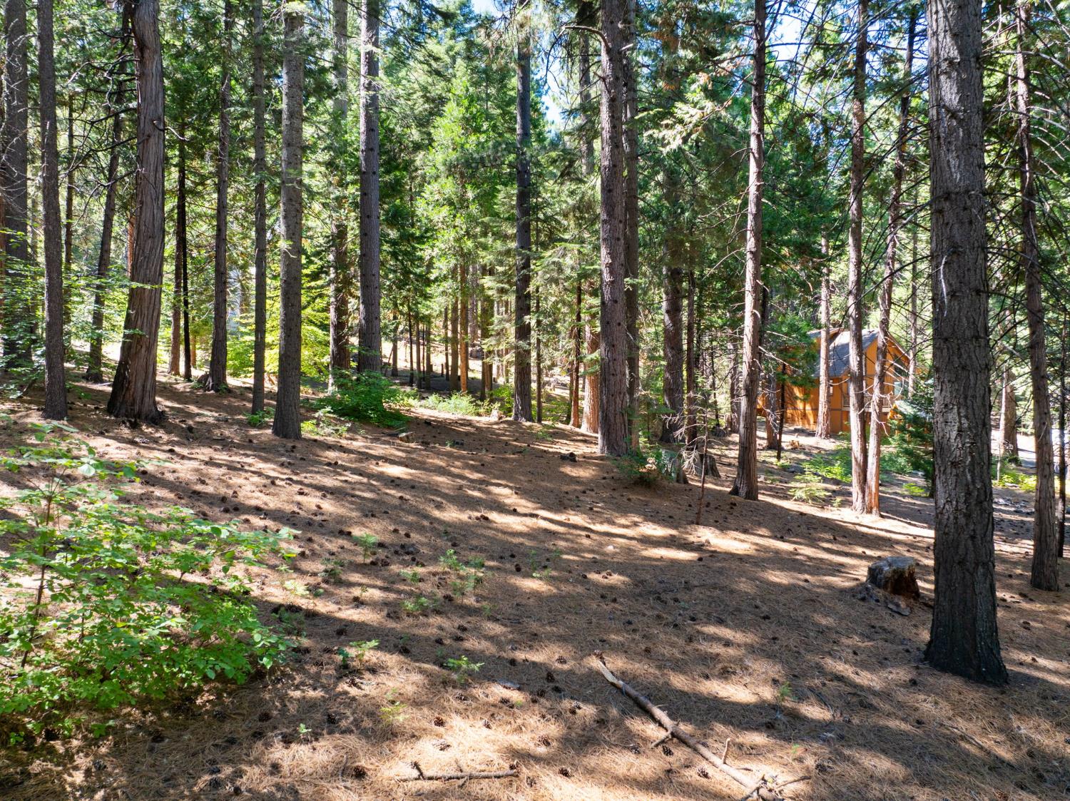 2430 Navajo Drive