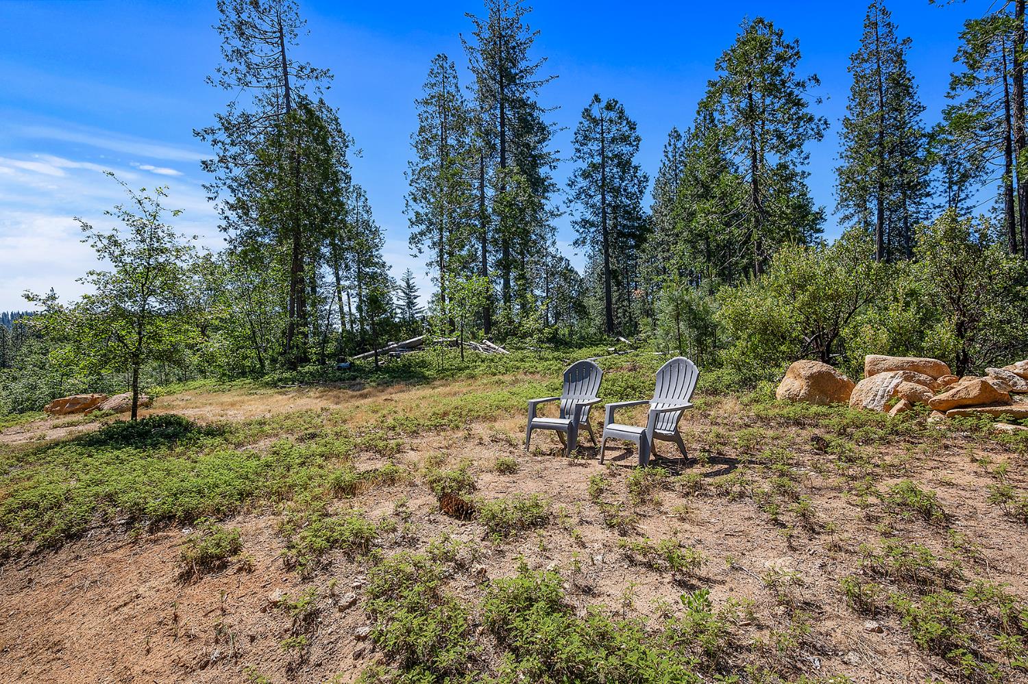 192 Vireo Way