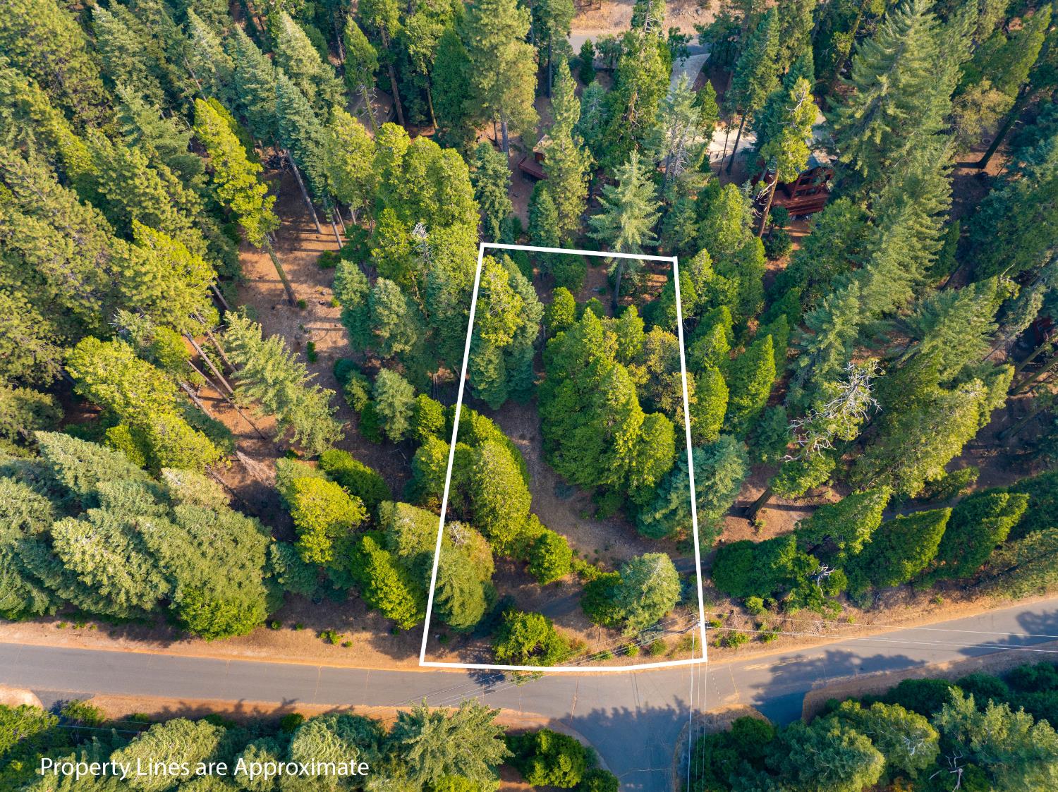 2875 Shoshone Drive