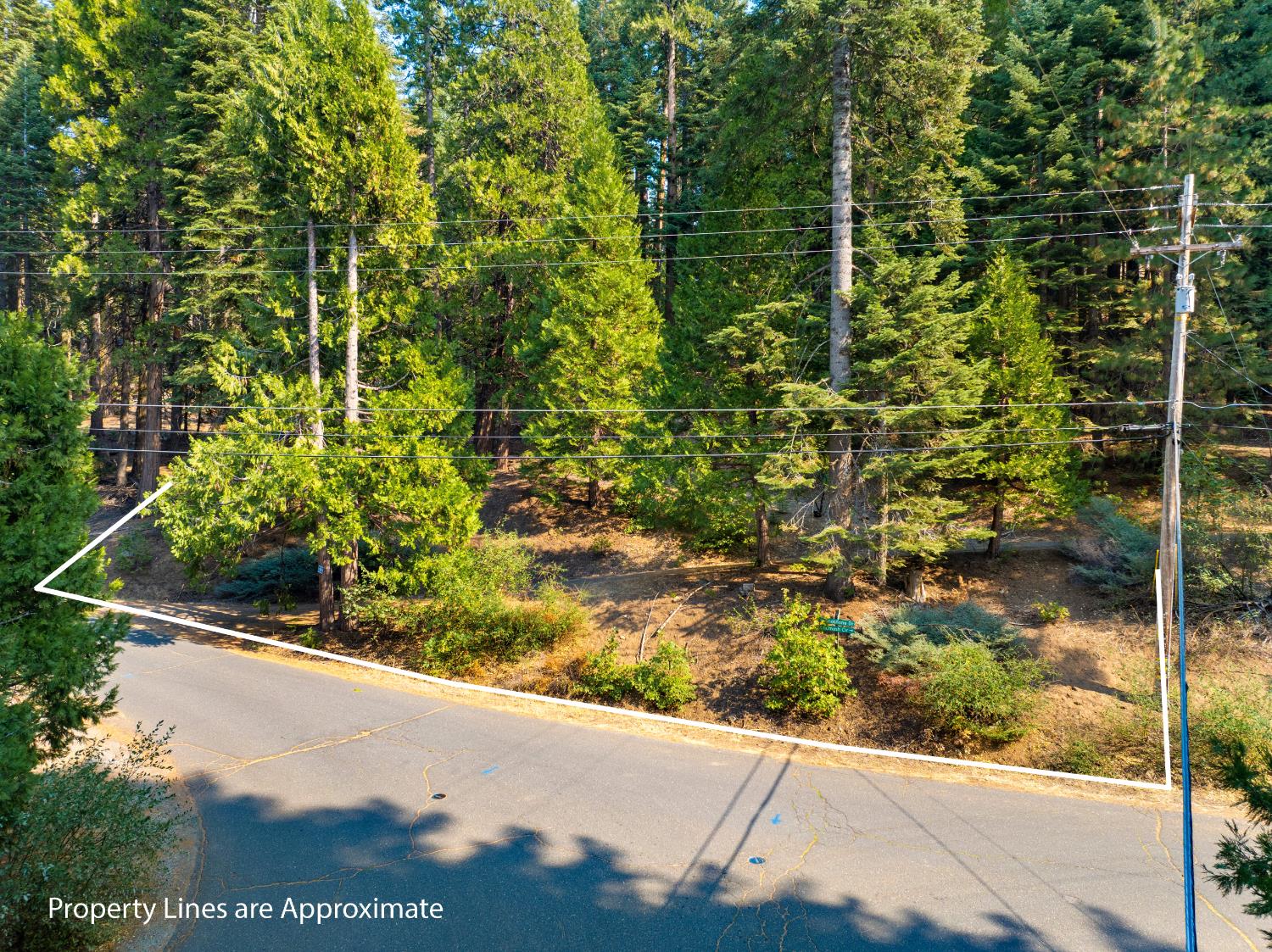 2875 Shoshone Drive