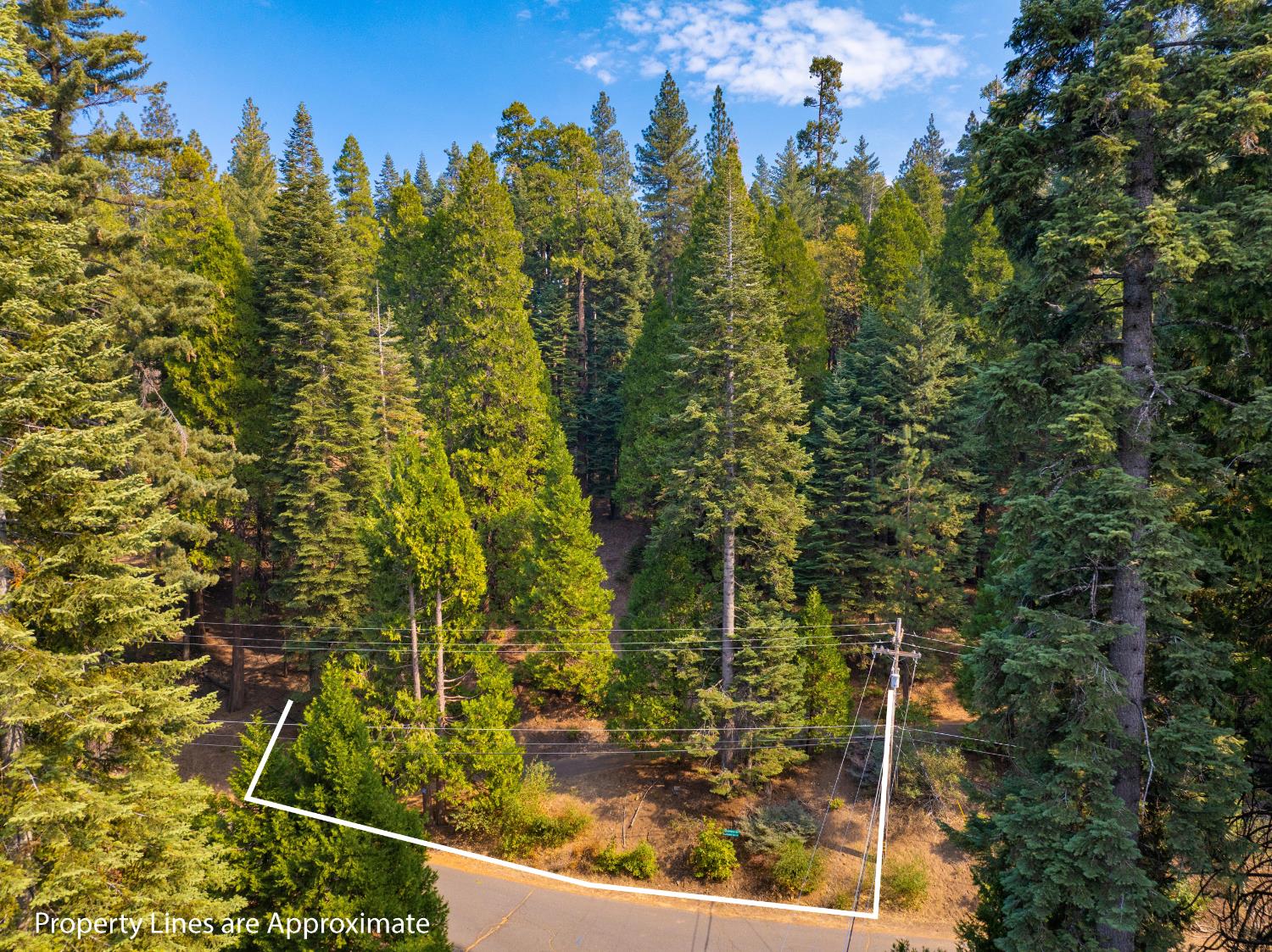 2875 Shoshone Drive