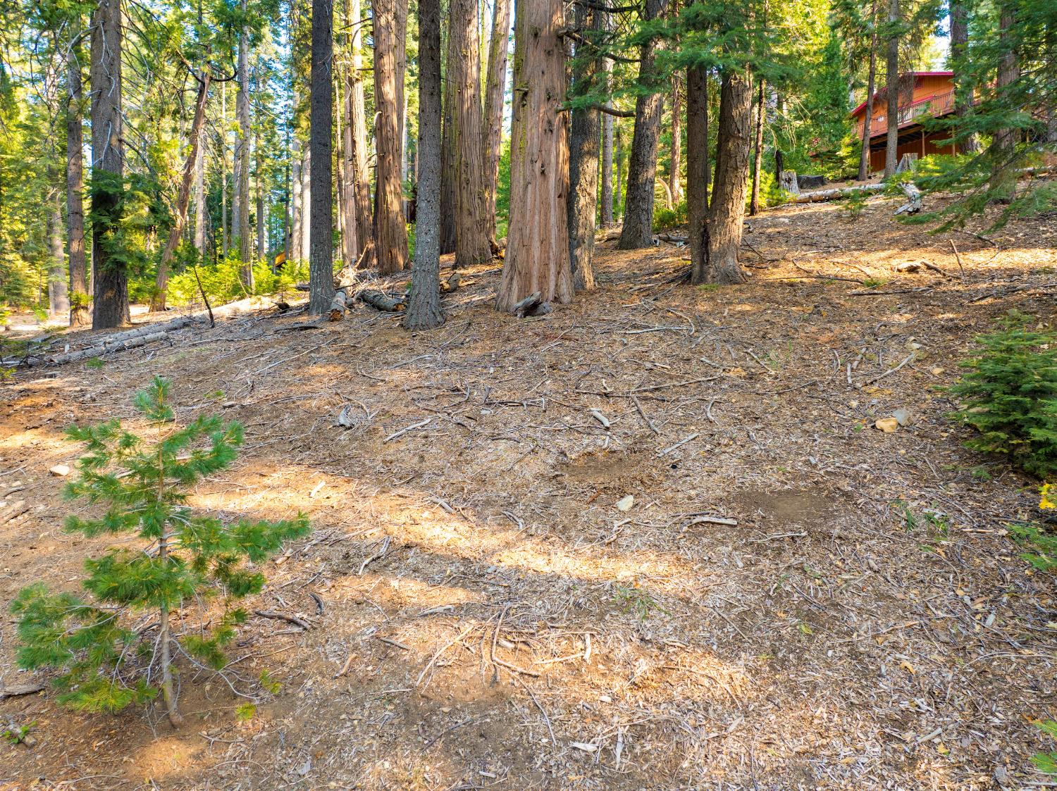 2875 Shoshone Drive