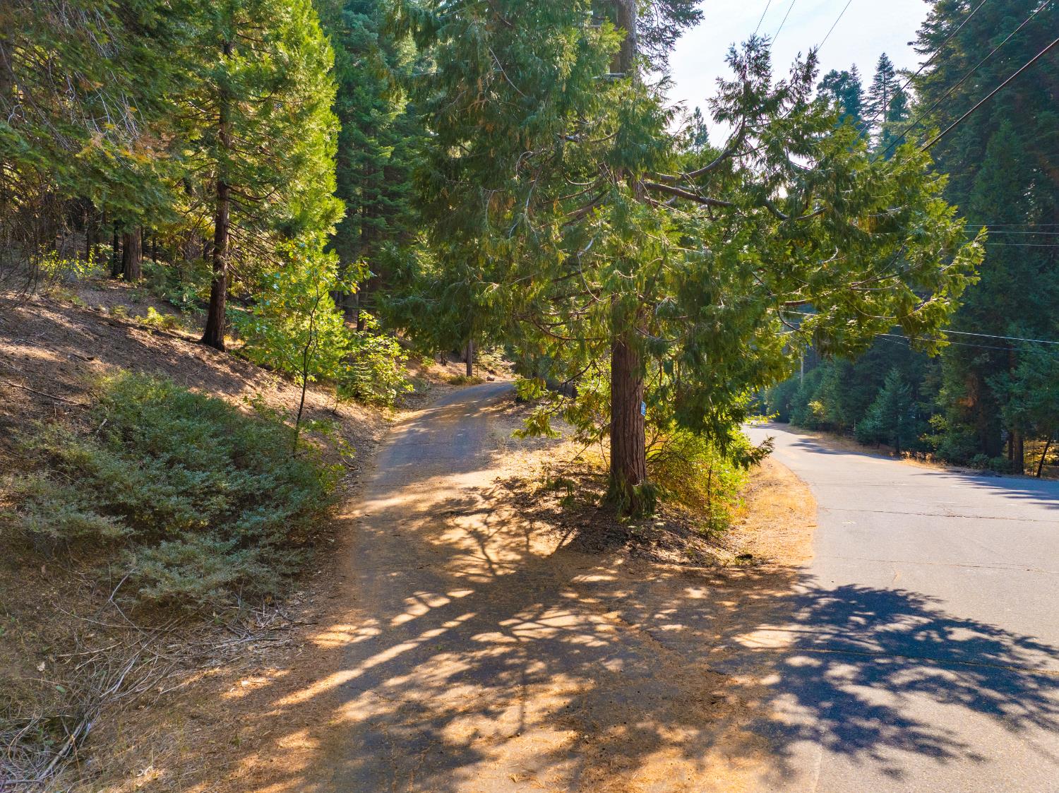 2875 Shoshone Drive