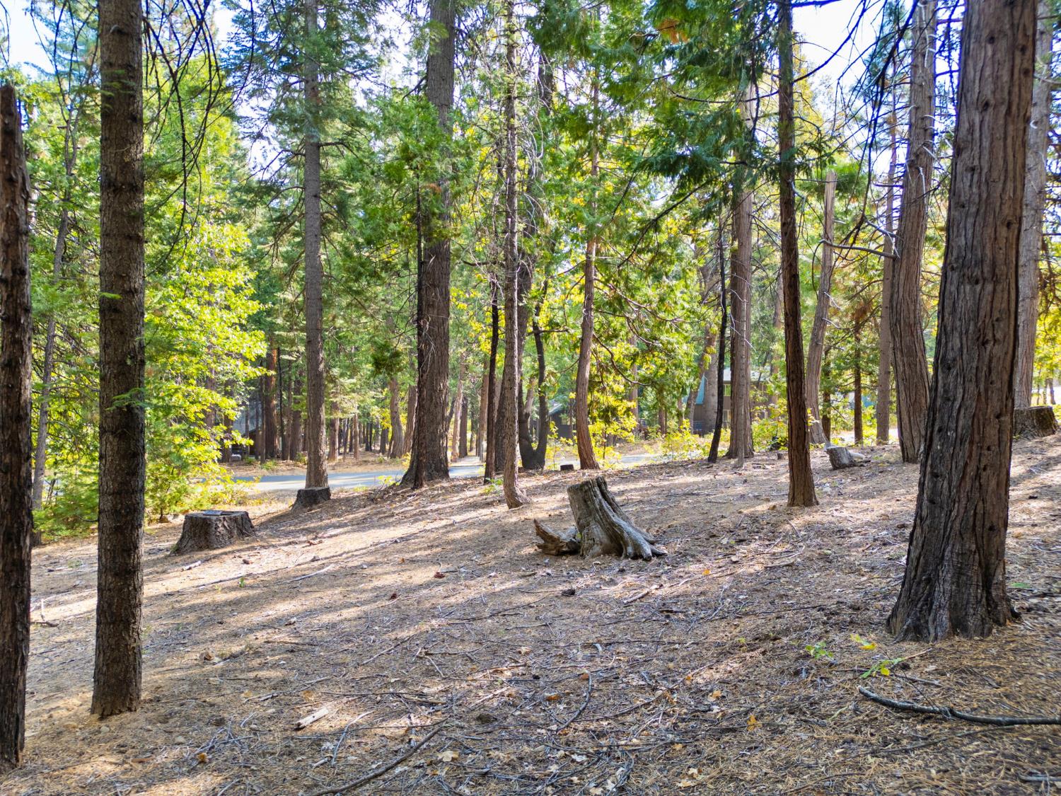 3730 Apache Road