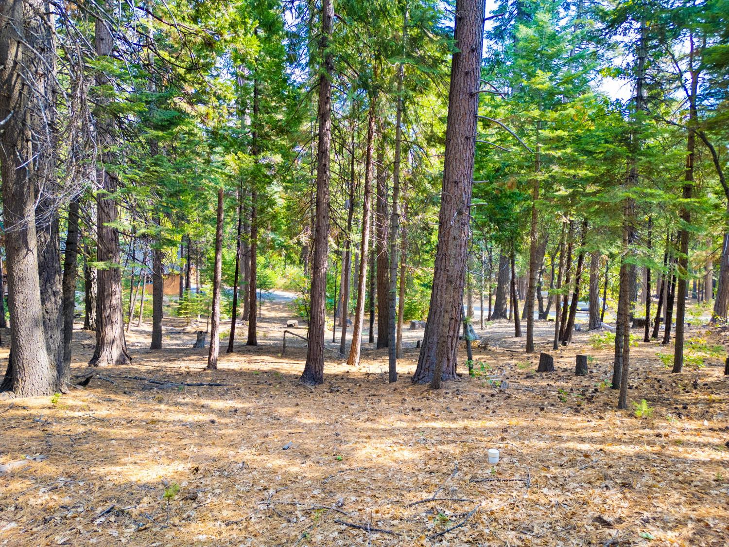 3730 Apache Road