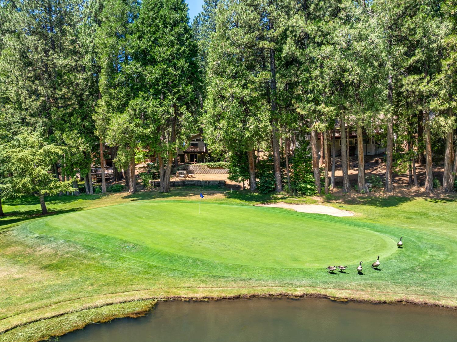 921 Cypress Point #1 Drive