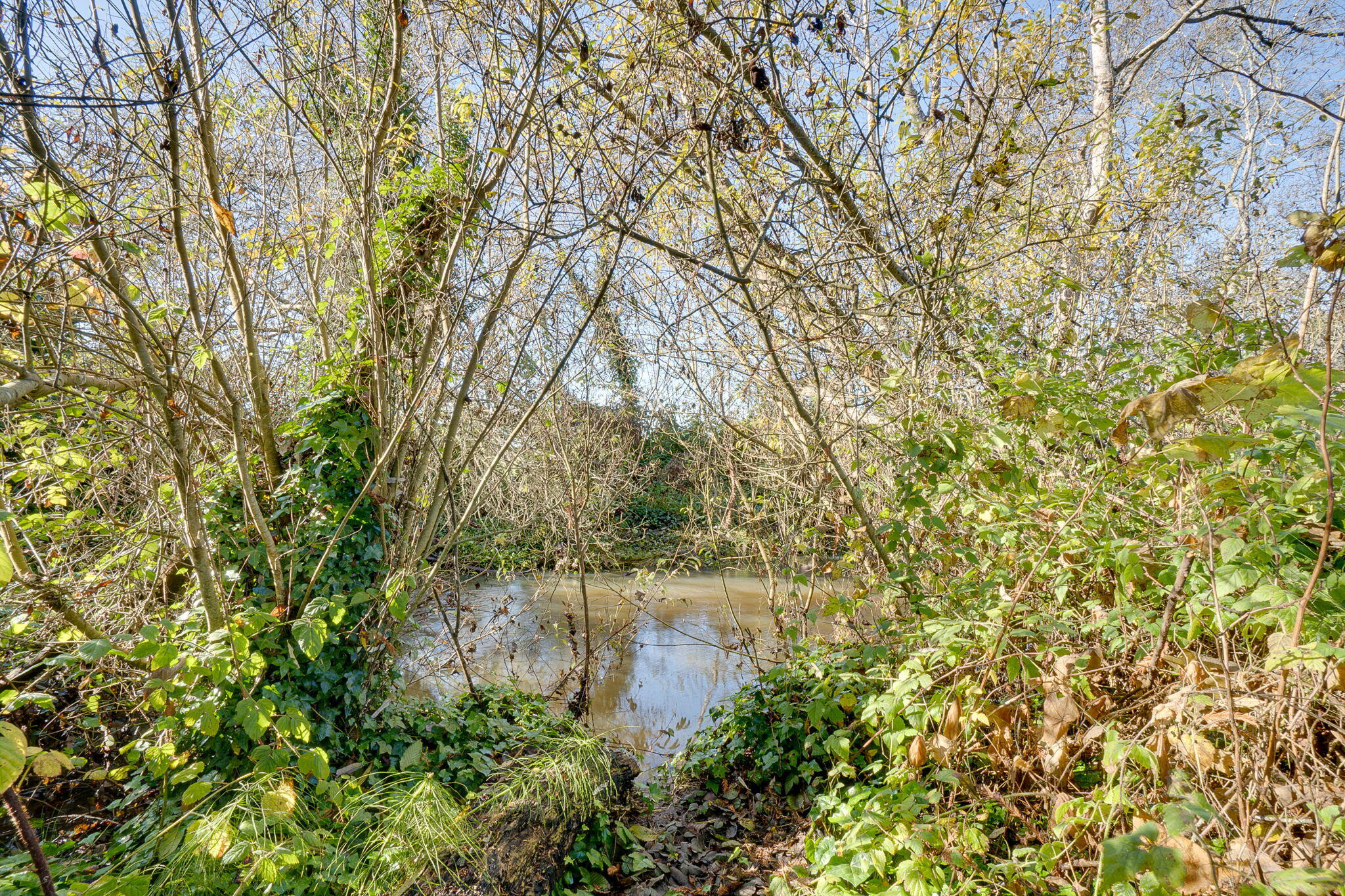 2203 Old Arcata Road