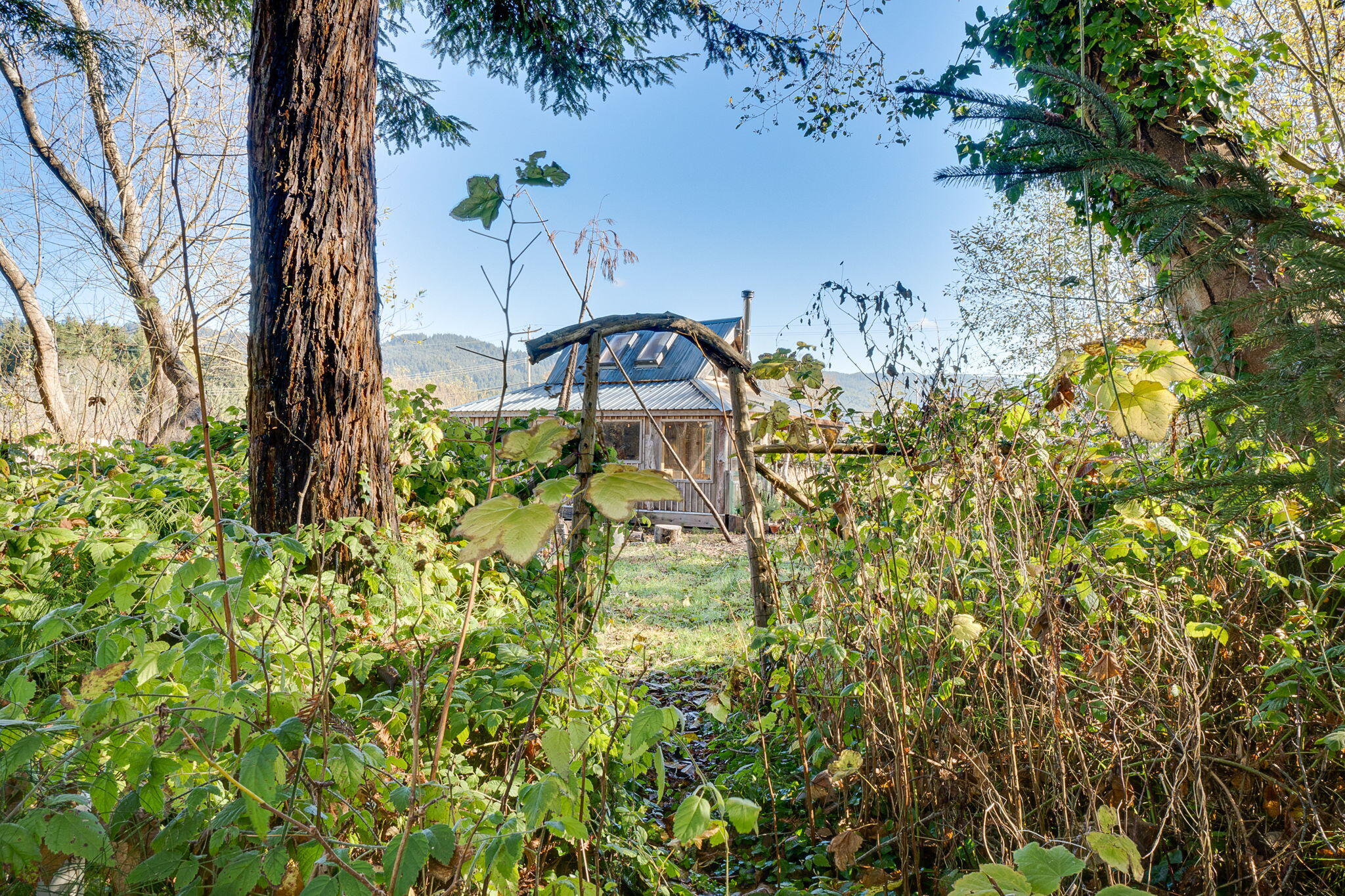 2203 Old Arcata Road