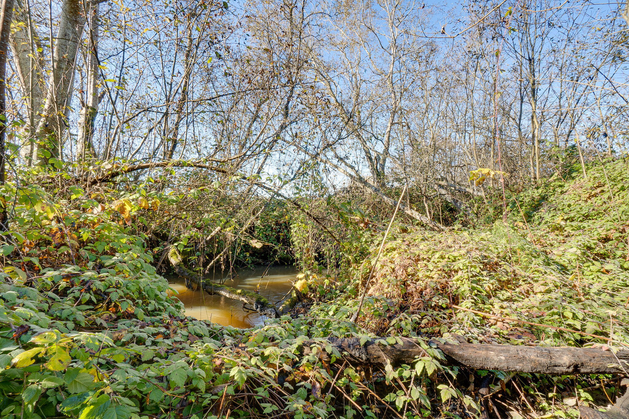 2203 Old Arcata Road