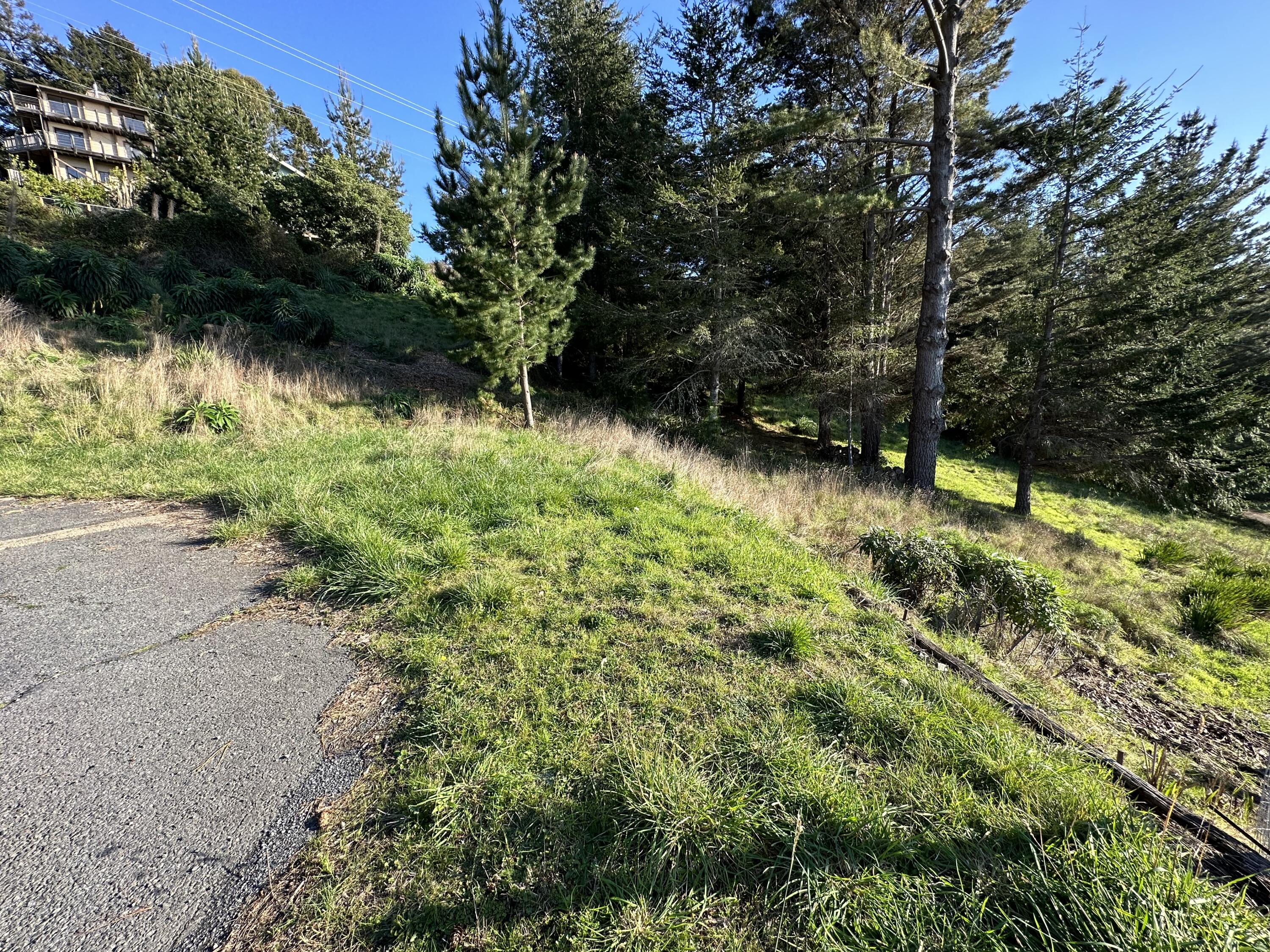 298 Bambi Drive