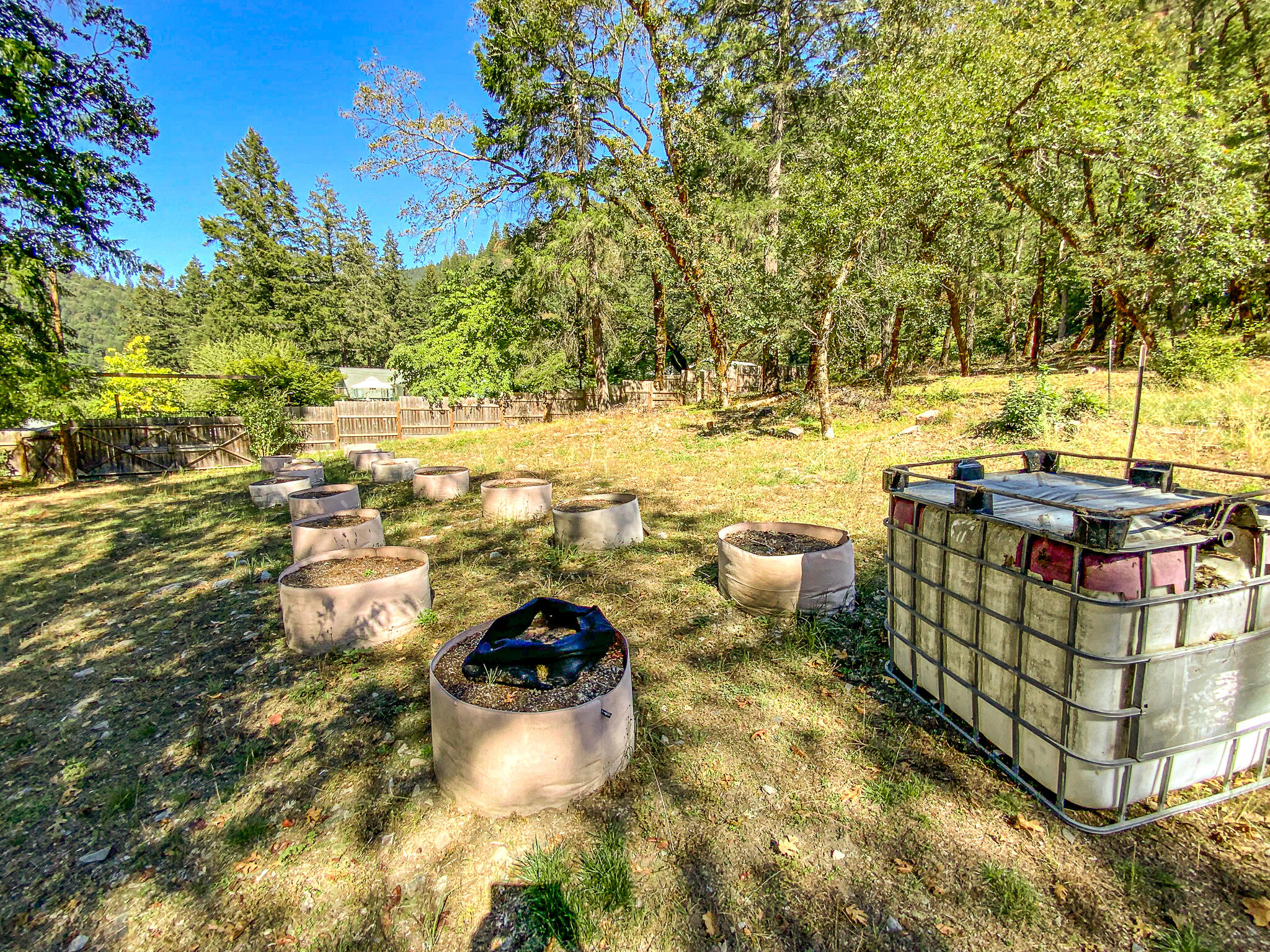 284 Horse Linto Creek Road